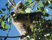 発表後は現地の動物園で癒されました